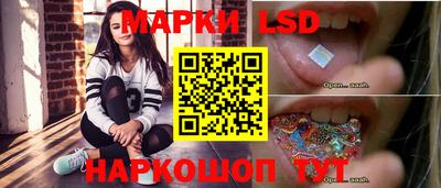 МДПВ Новодвинск