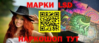МДПВ Новодвинск