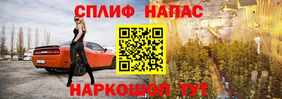 МДПВ Новодвинск