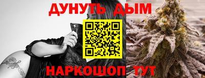 МДПВ Новодвинск