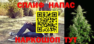 МДПВ Новодвинск