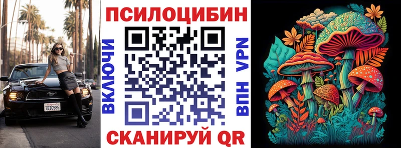 Галлюциногенные грибы Psilocybine cubensis как найти наркотики Торжок