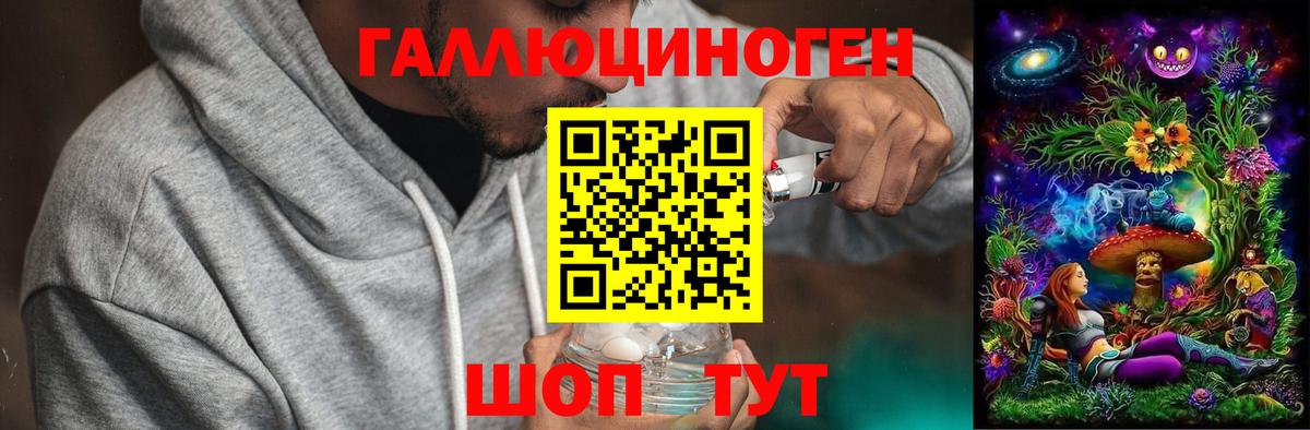 где найти наркотики  Вход с VPN  Торжок  Псилоцибиновые грибы мухоморы 